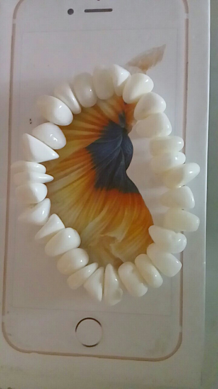 九条龙喊父王猜成语(2)