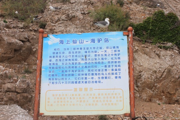 白白的肚皮简谱_白白的肚皮钢琴简谱