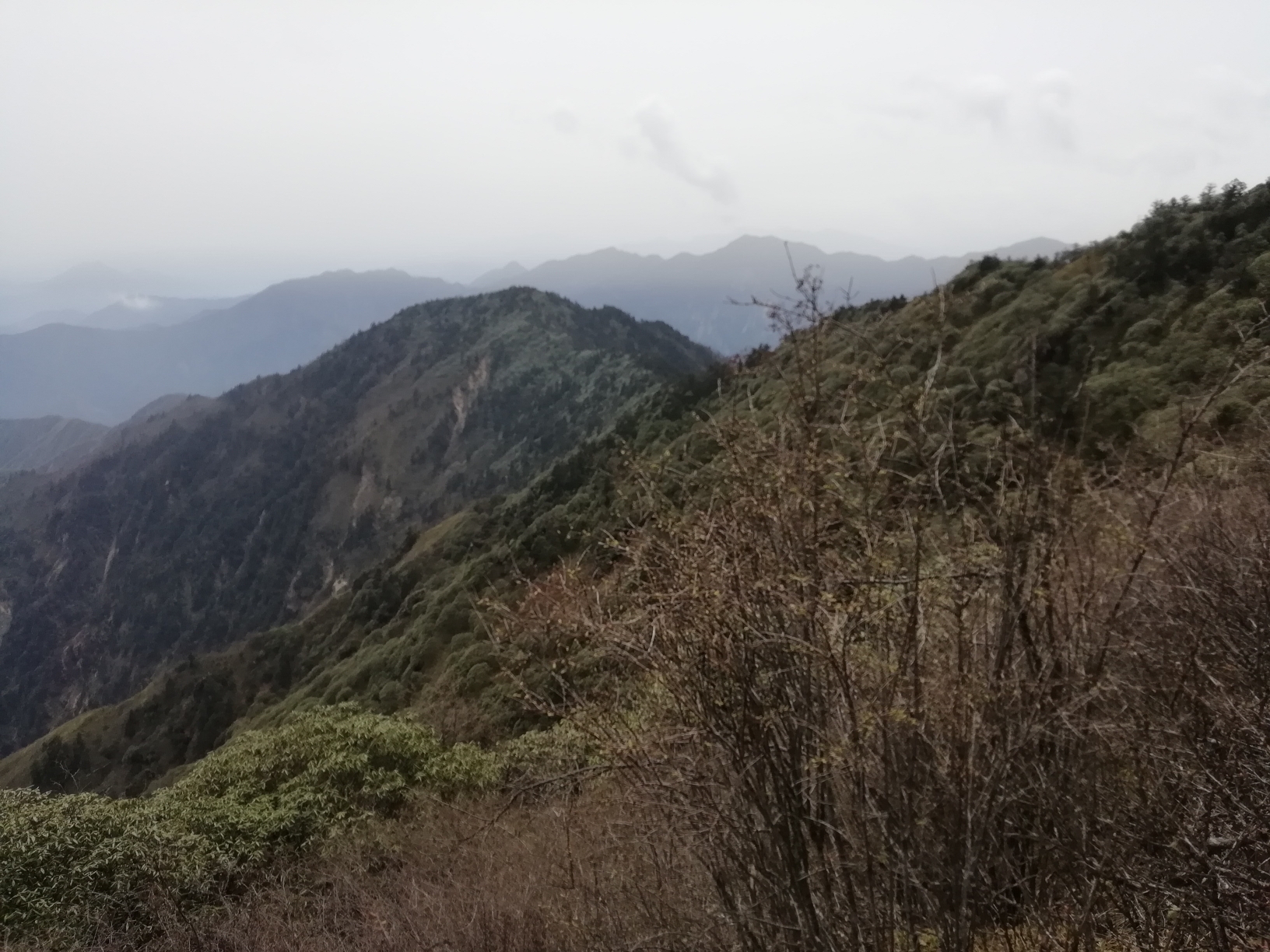 wKgBEFr34SOALUHXABGovLQat8o32.jpeg?imageView2%2F2%2Fw%2F600%2Fh%2F600%2Fq%2F90