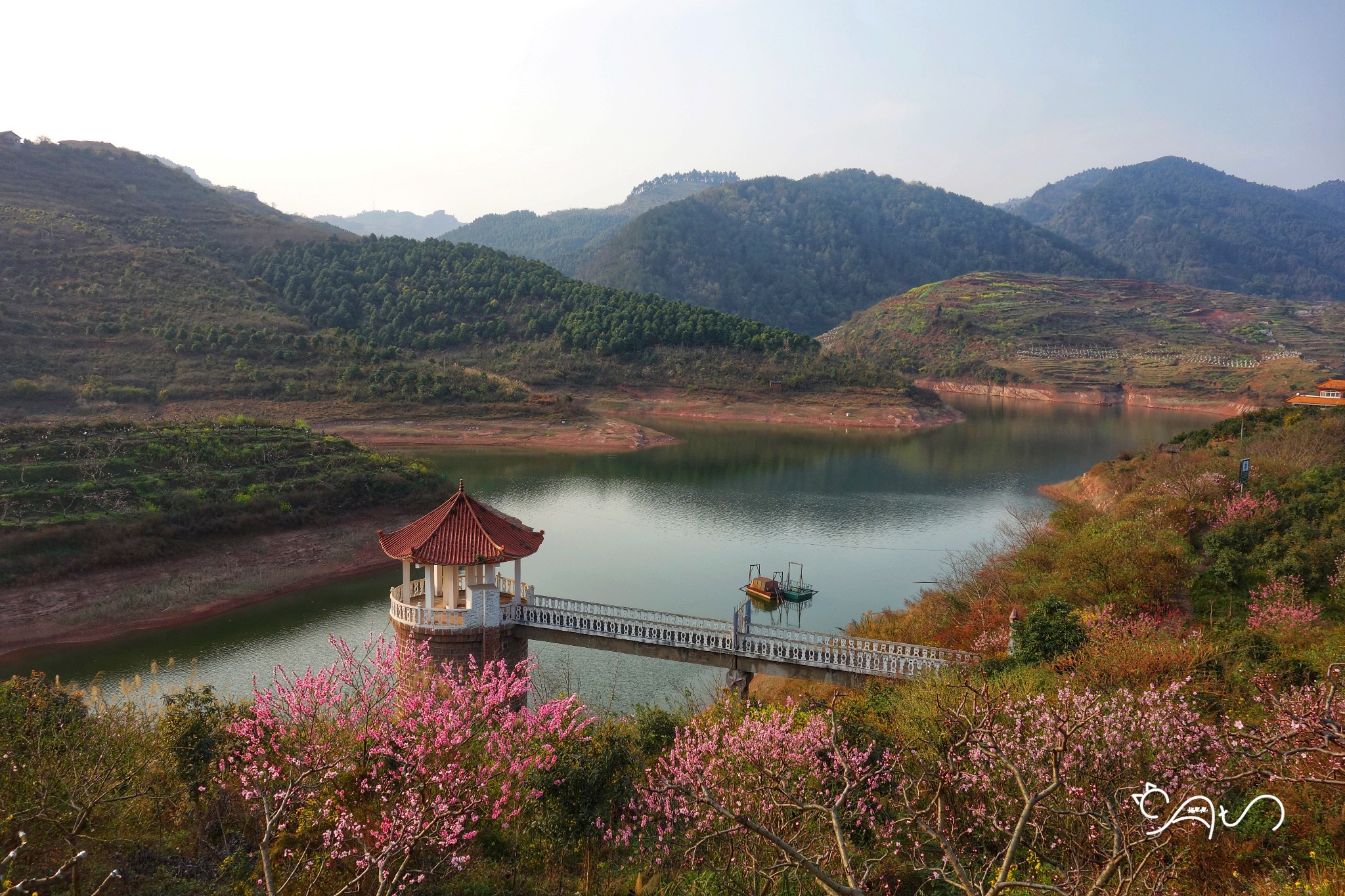 丹棱梅湾湖的桃花美若仙境,幸福古村宛若世外桃源