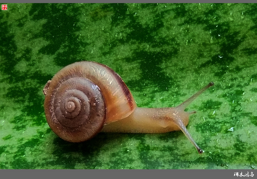 wKgBEFtRLFiAcQhwAApFCBjLgwo94.jpeg?imageView2%2F2%2Fw%2F680%2Fq%2F90%7CimageMogr2%2Fstrip%2Fquality%2F90