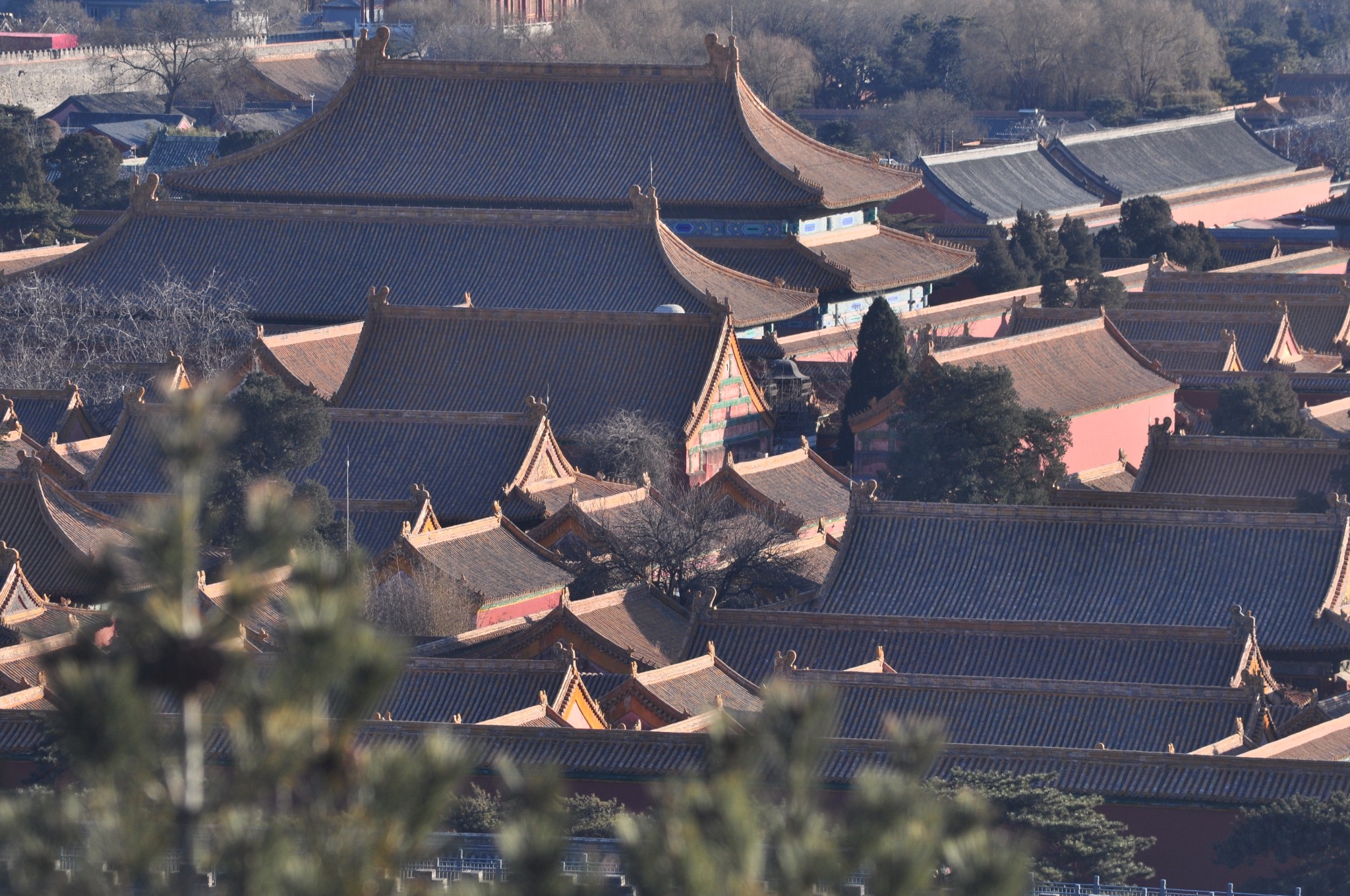 东帝总人口(3)