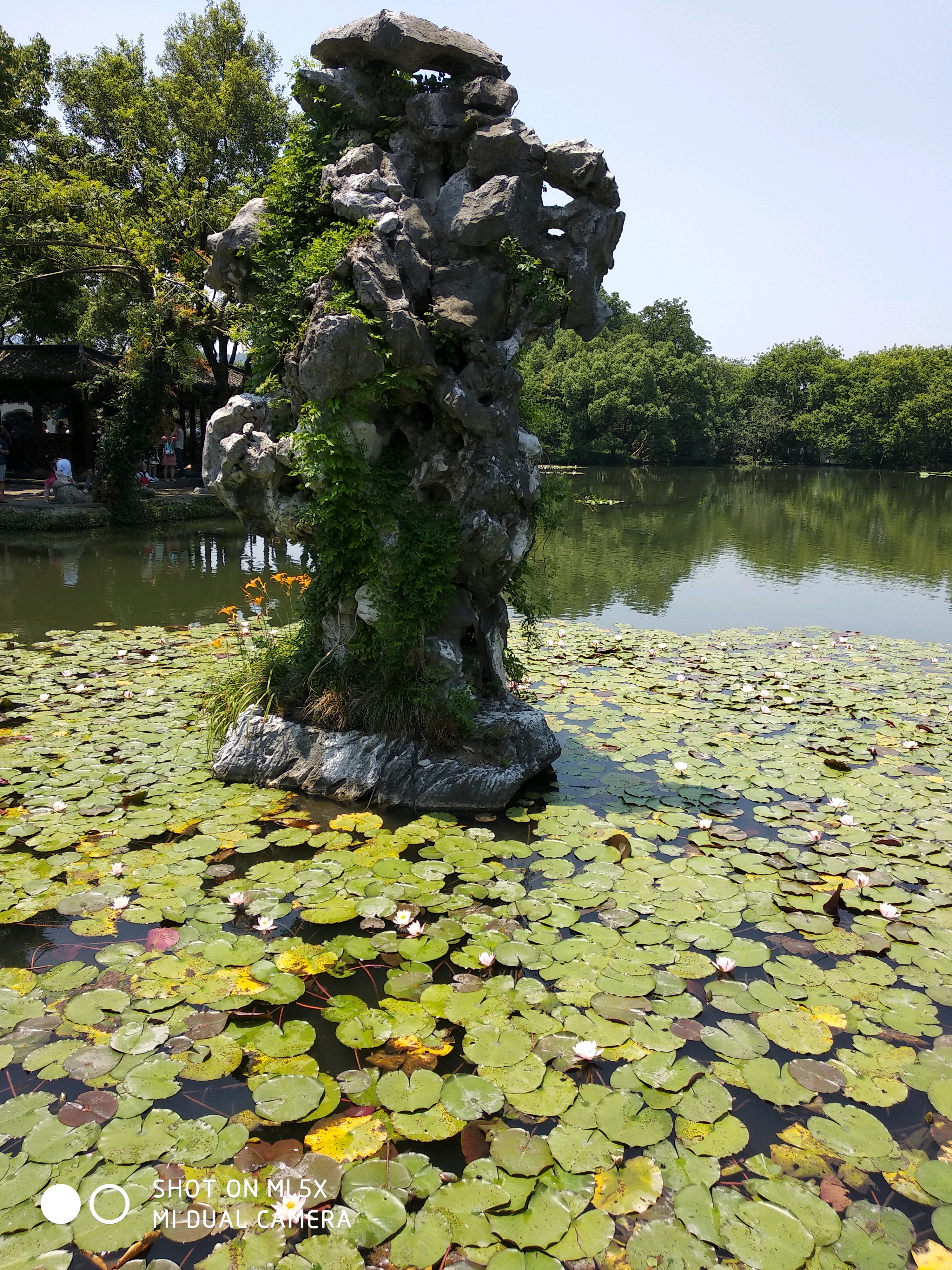 西湖三潭印月好玩吗