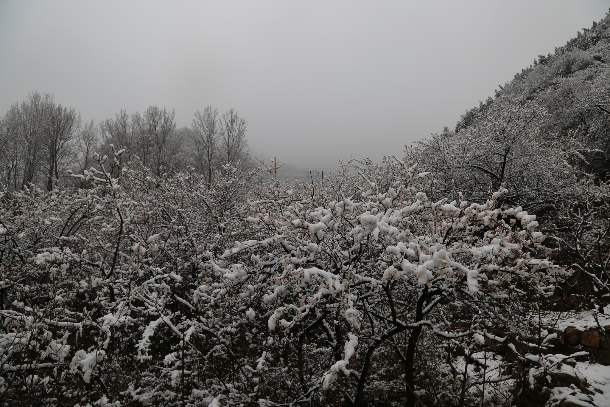 wKgBEFrSLf6AErbmAA7CGmH0rOQ10.jpeg?imageView2%2F2%2Fw%2F600%2Fh%2F600%2Fq%2F90