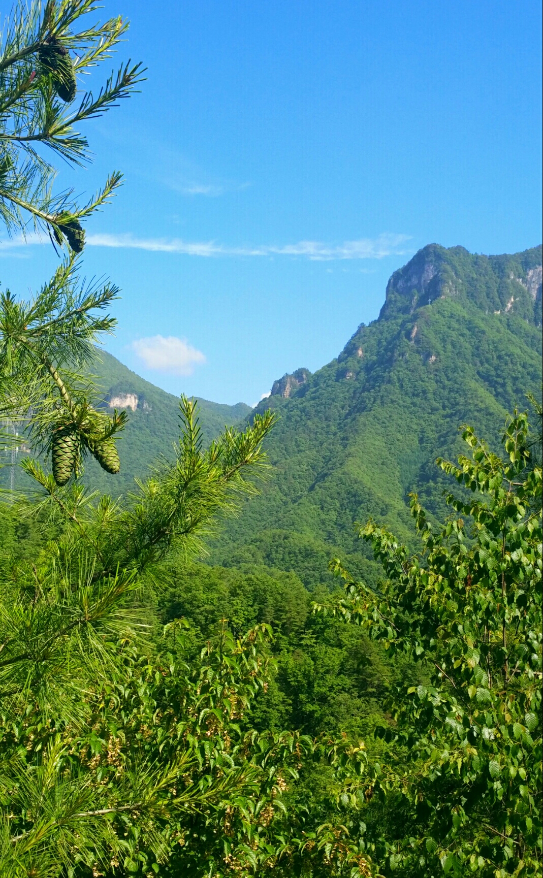 诗游中国之神农架(二)天燕景区