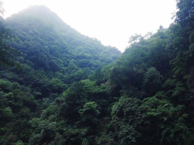 商洛秦岭清明节游玩攻略,商洛秦岭旅游节