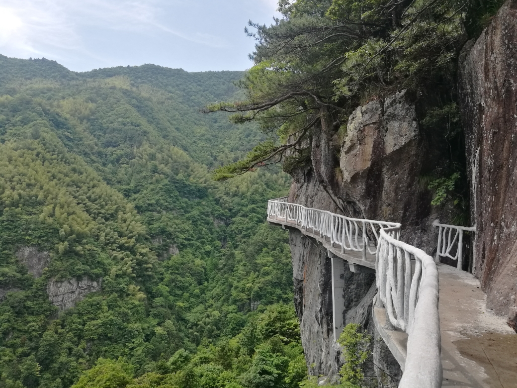 磐安灵江源森林公园,磐安旅游攻略 马蜂窝