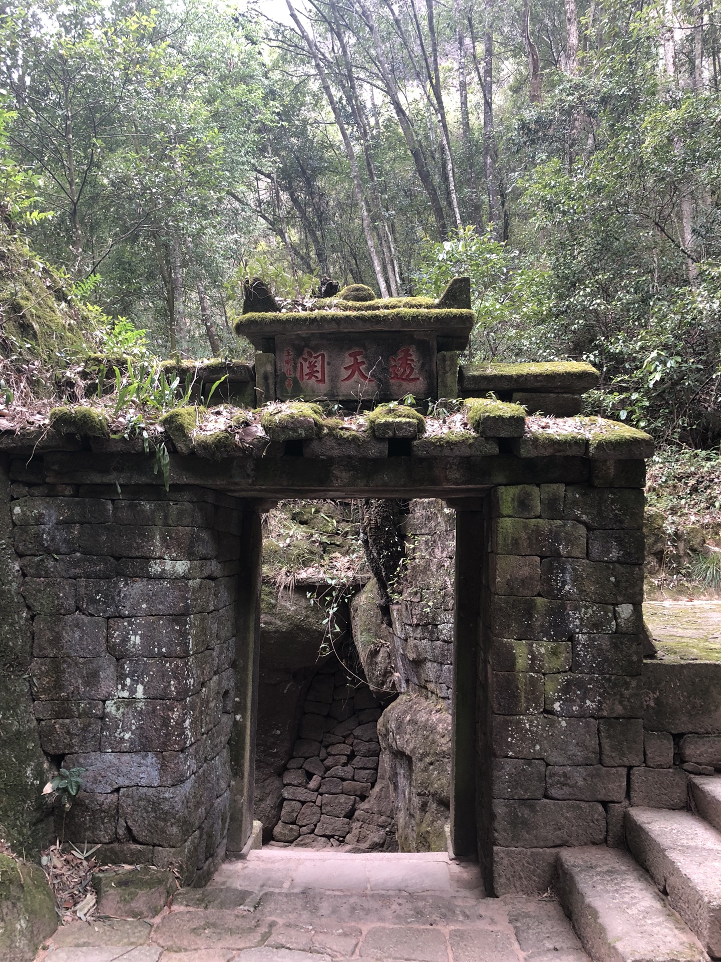 春节都在外面玩——福建武夷山