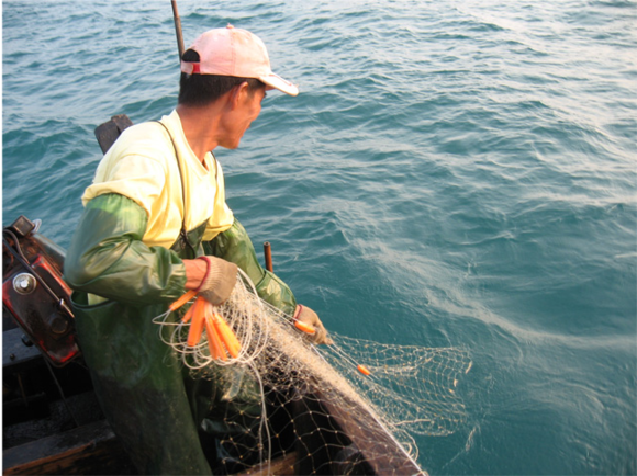河里鱼虾游玩攻略,河水鱼虾