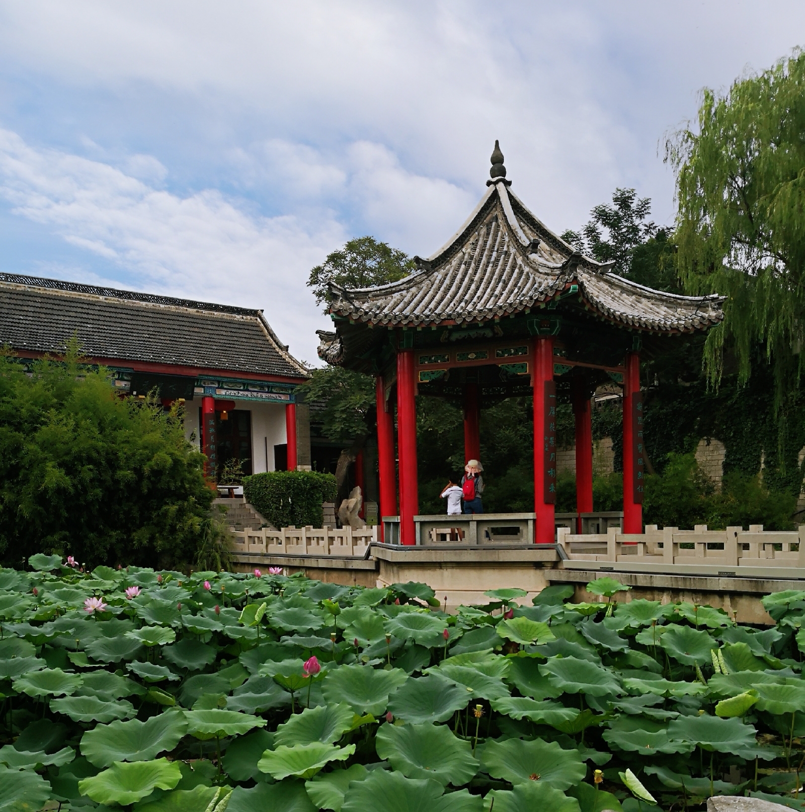 大明湖景区         