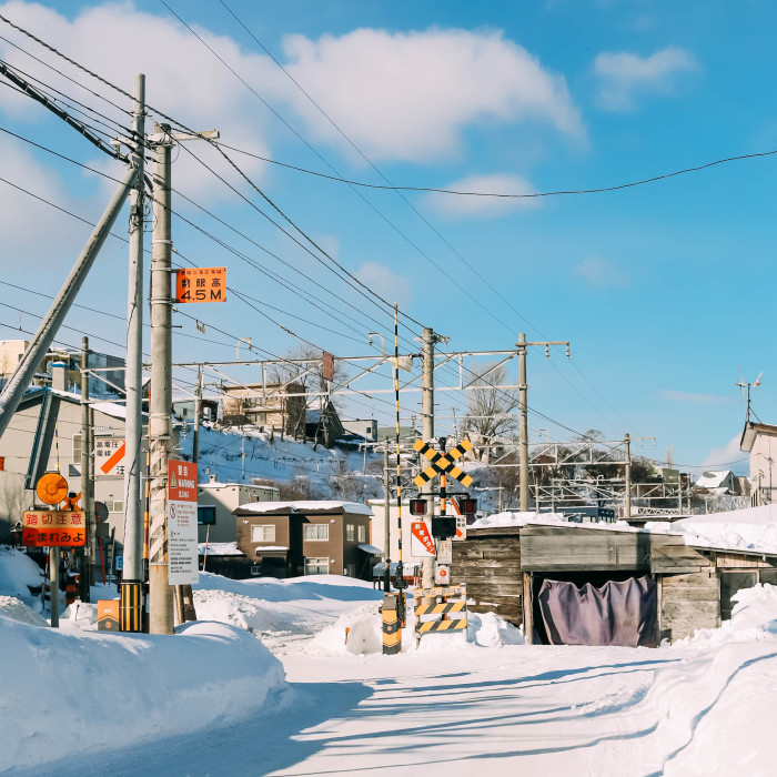 【小樽】电影情书取景地,这里的雪景是整个北海道最有电影感的,不管是