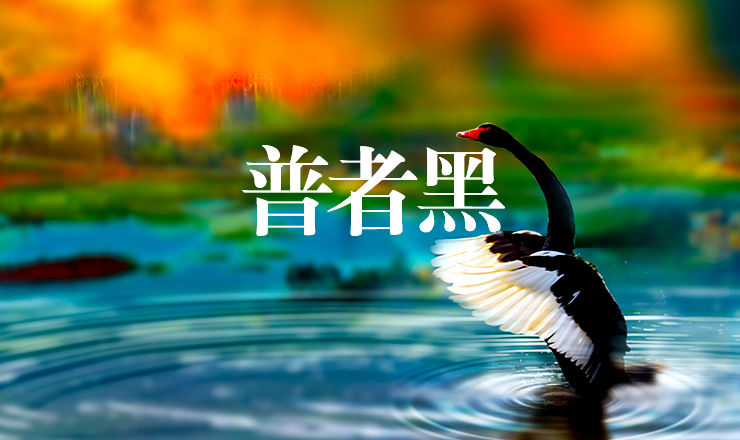 普者黑坝美高铁往返3日游（赏荷时节 经典影视基地+探秘坝美世外桃源+喀斯特地貌仙人遗洞+品鱼米之乡彝家美味）