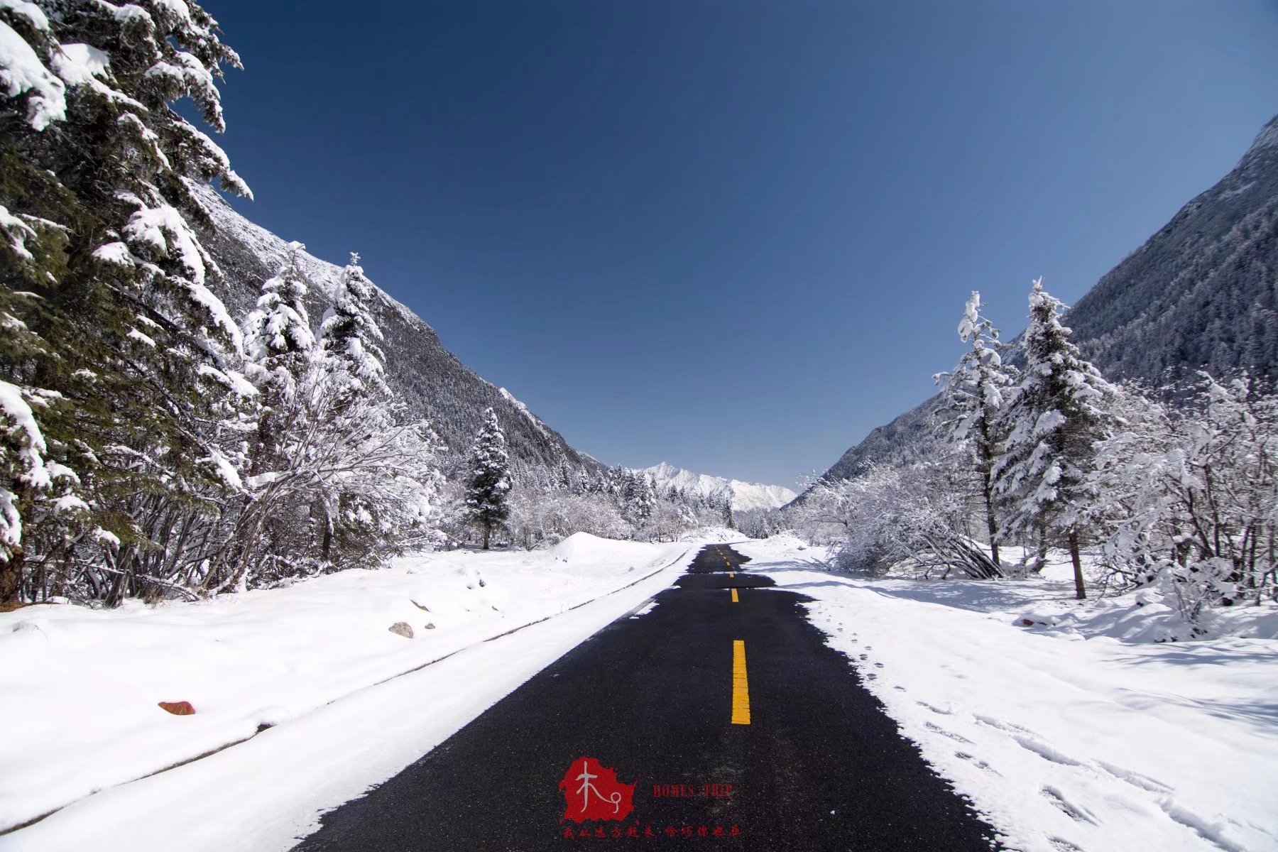 西岭雪山人均消费_西岭雪山