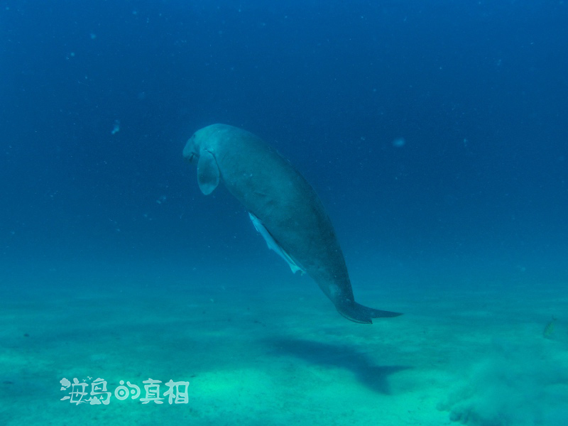 wKgBEFrWueKAYl6CAAL8BwZgRgo95.jpeg?imageView2%2F2%2Fw%2F600%2Fq%2F90%7CimageMogr2%2Fstrip%2Fquality%2F90