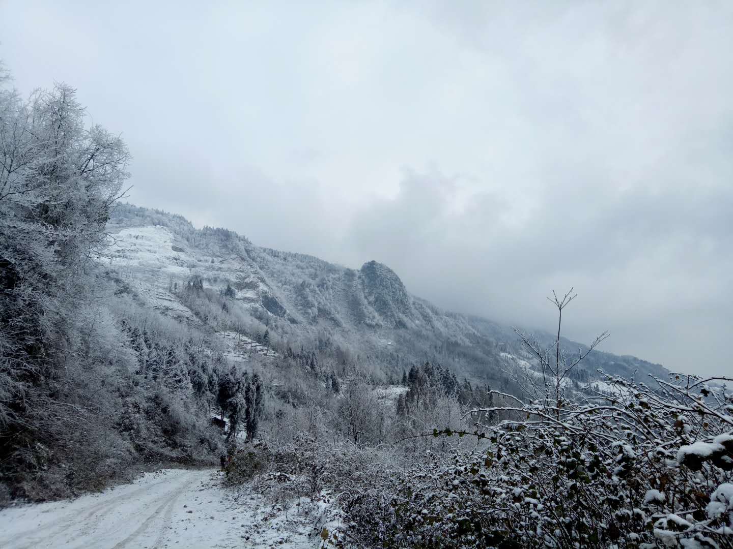 南方也有大雪飞,彭州天台山