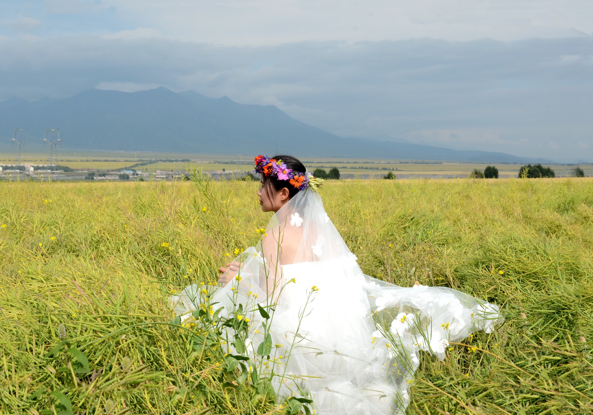 草原风格婚纱_草原手机壁纸(3)