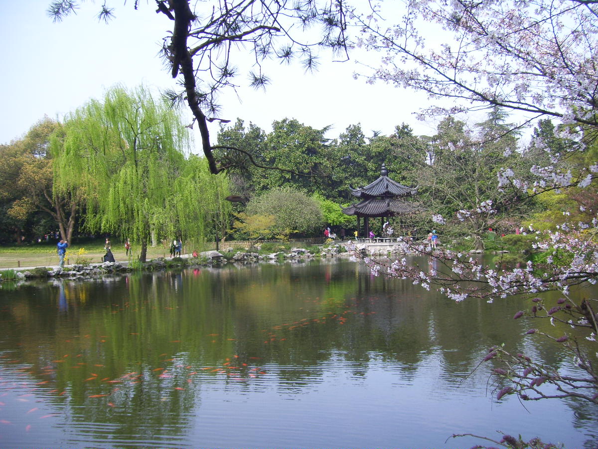 【杭州之春】西湖美景三月天