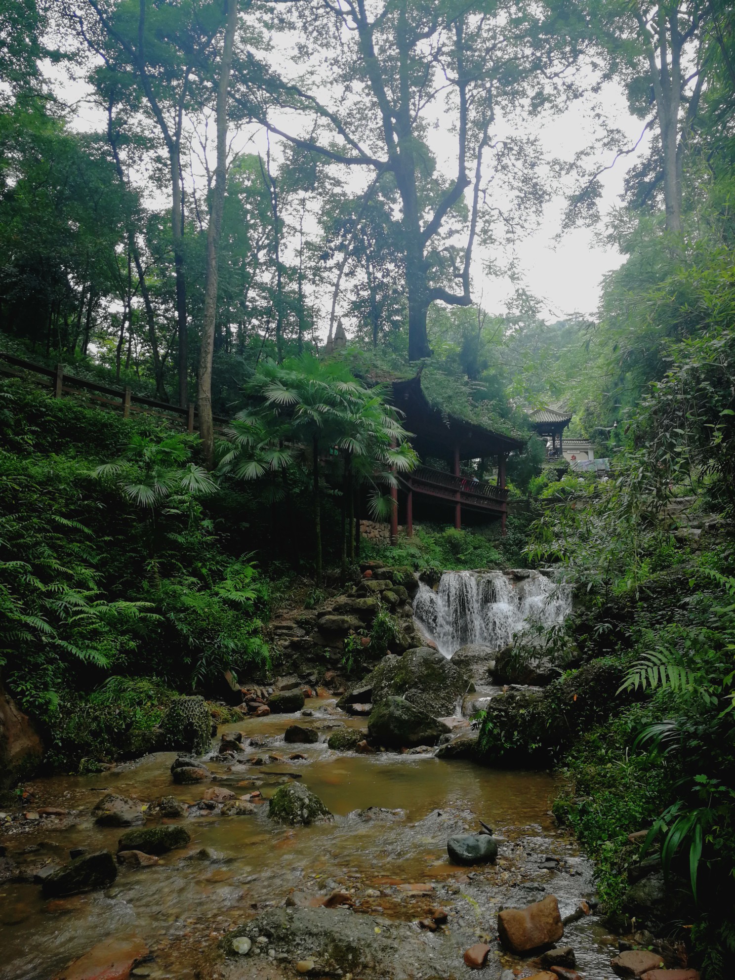 轻雨,倾心,青城--青城山游记--马蜂窝