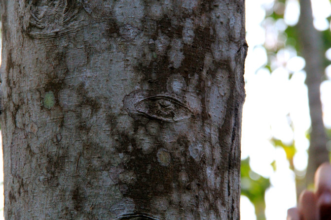 wKgBEFtSz4aAGeZ1AAHZ7a1kP5w25.jpeg?imageView2%2F2%2Fw%2F600%2Fh%2F600%2Fq%2F90