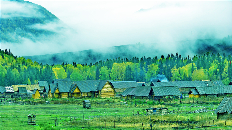 wKgBEFrMFfCASDQfAAlxdNz55ts68.jpeg?imageView2%2F2%2Fw%2F510%2Fh%2F8000%2Fq%2F100