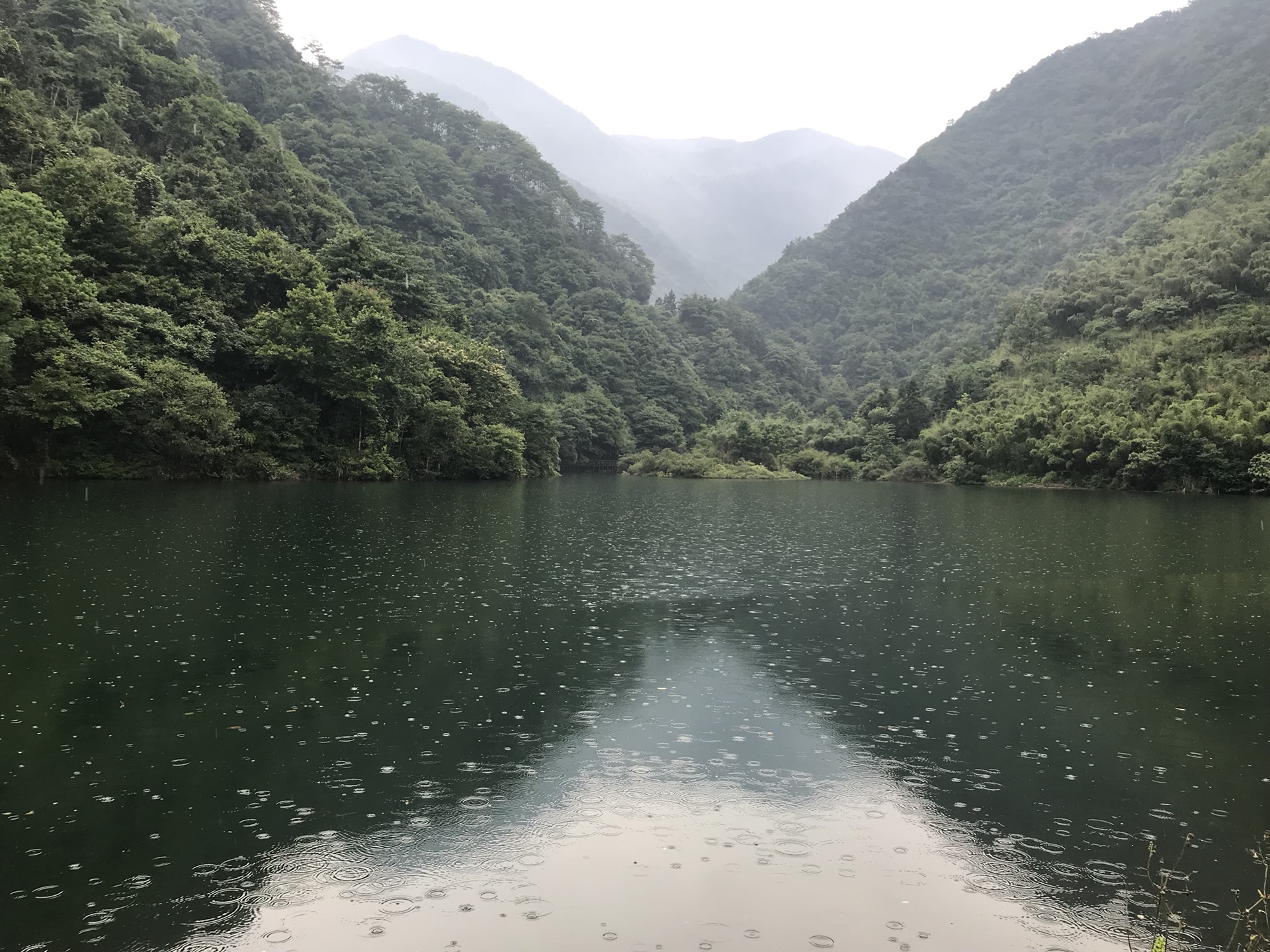 首页 村镇先知 天目山—东天目山的安静   酒店 小伙伴预定的 临安 君