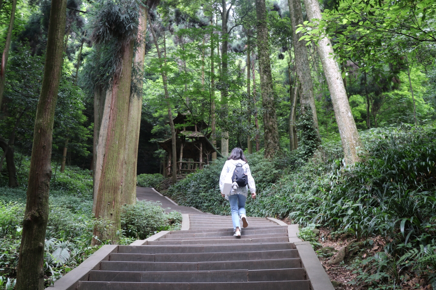 慢节奏体验慢生活(四)——四川8日游之徒步青城山