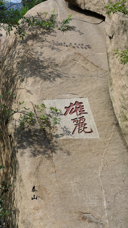 wKgBEFtMilqAfln7AAcoIjKCg0815.jpeg?imageView2%2F2%2Fw%2F600%2Fh%2F600%2Fq%2F90