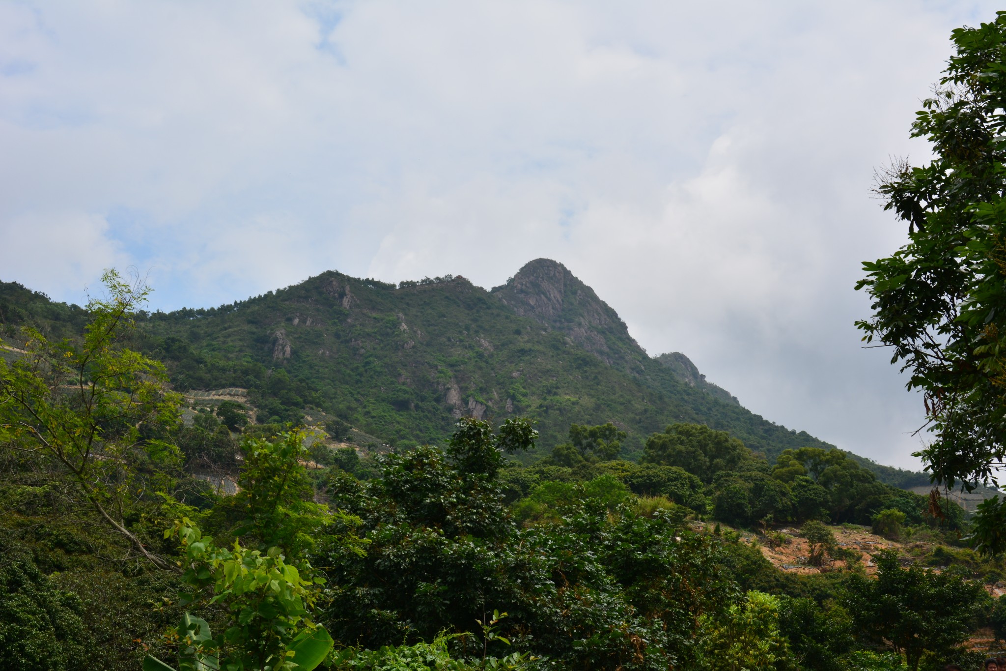 神湾丫髻山菠萝节,中山旅游攻略 - 马蜂窝