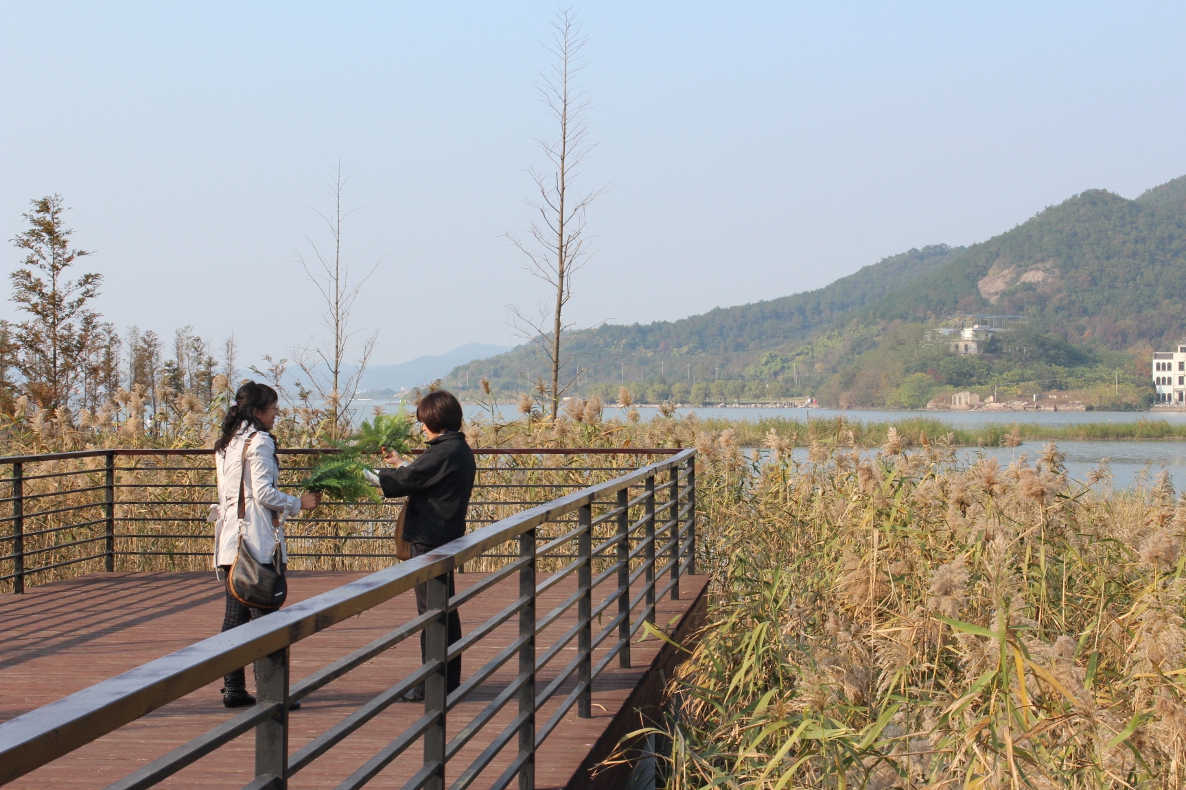 宁波东钱湖之马山湿地