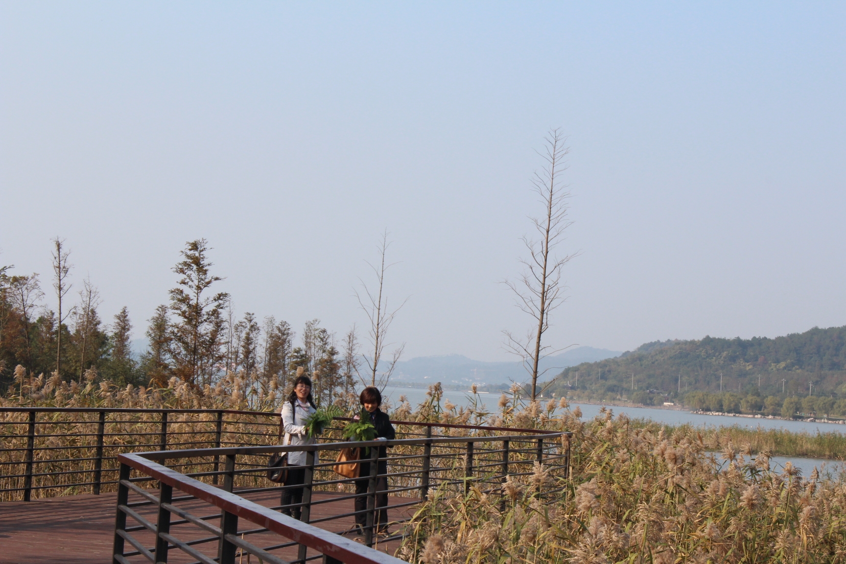 宁波东钱湖之马山湿地