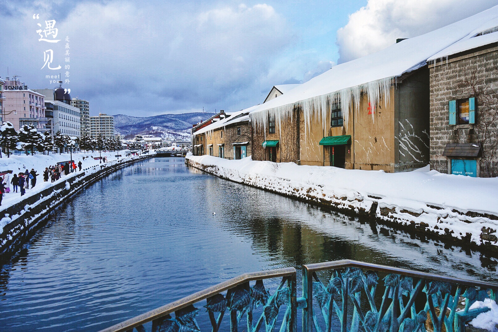 乃至北海道的一大标志性景观,因电影《情书》而闻名,四季景色各不相同