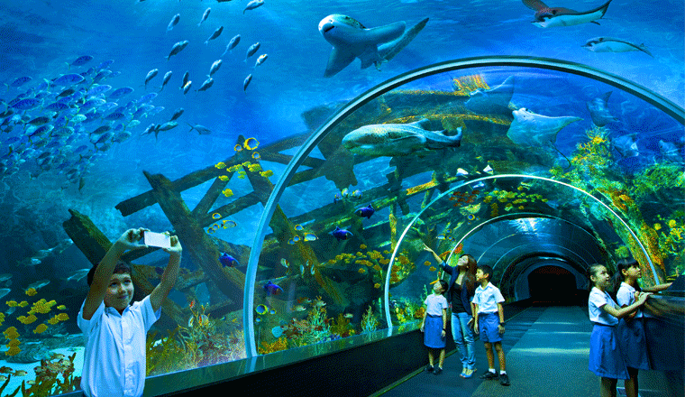 壁纸 海底 海底世界 海洋馆 水族馆 桌面 760_440 gif 动态图 动图