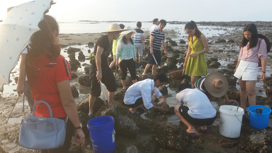 硇洲岛赶海,海钓,景点游玩,自助厨房等图片46,硇洲岛旅游景点,风景