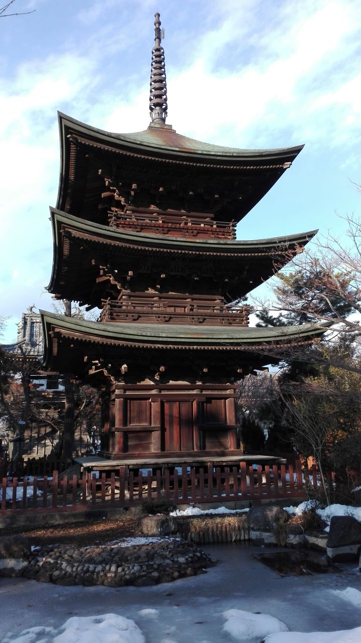 信浓国人口_人口普查