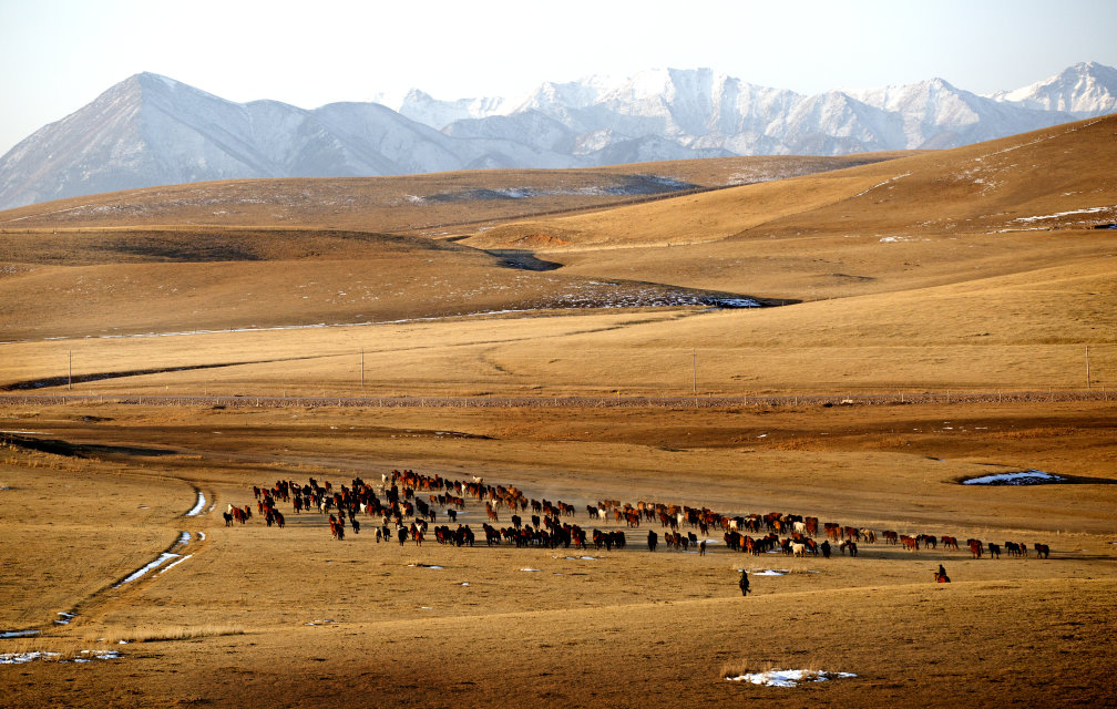 wKgBEFp9oymAezqgAANLFa7l5Ds21.jpeg?imageView2%2F2%2Fw%2F600%2Fh%2F600%2Fq%2F90