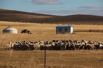 额尔古纳河右岸电影完整版 wKgBEFsL5iqAZliDAABLYo9amfM13.jpeg?imageView2%2F2%2Fw%2F600%2Fh%2F600%2Fq%2F90