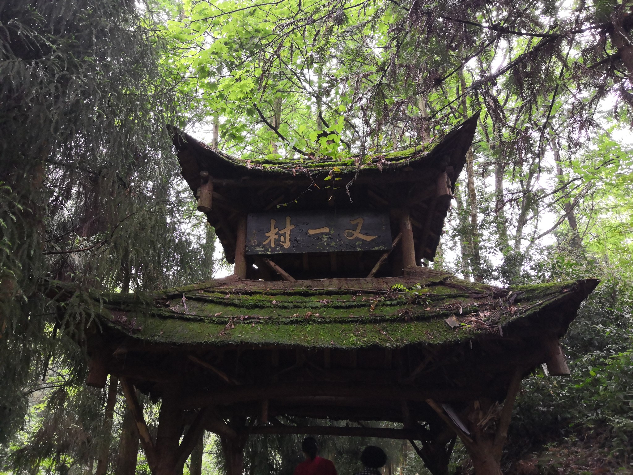 成都青城山后山一日游