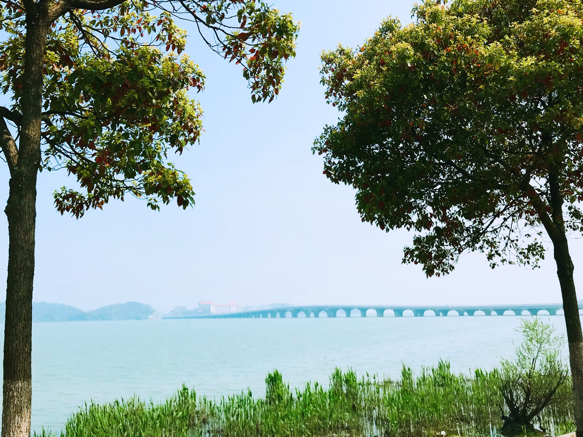 我的2018#上海周边自驾游～无锡荡口古镇,苏州西山景侵周末游