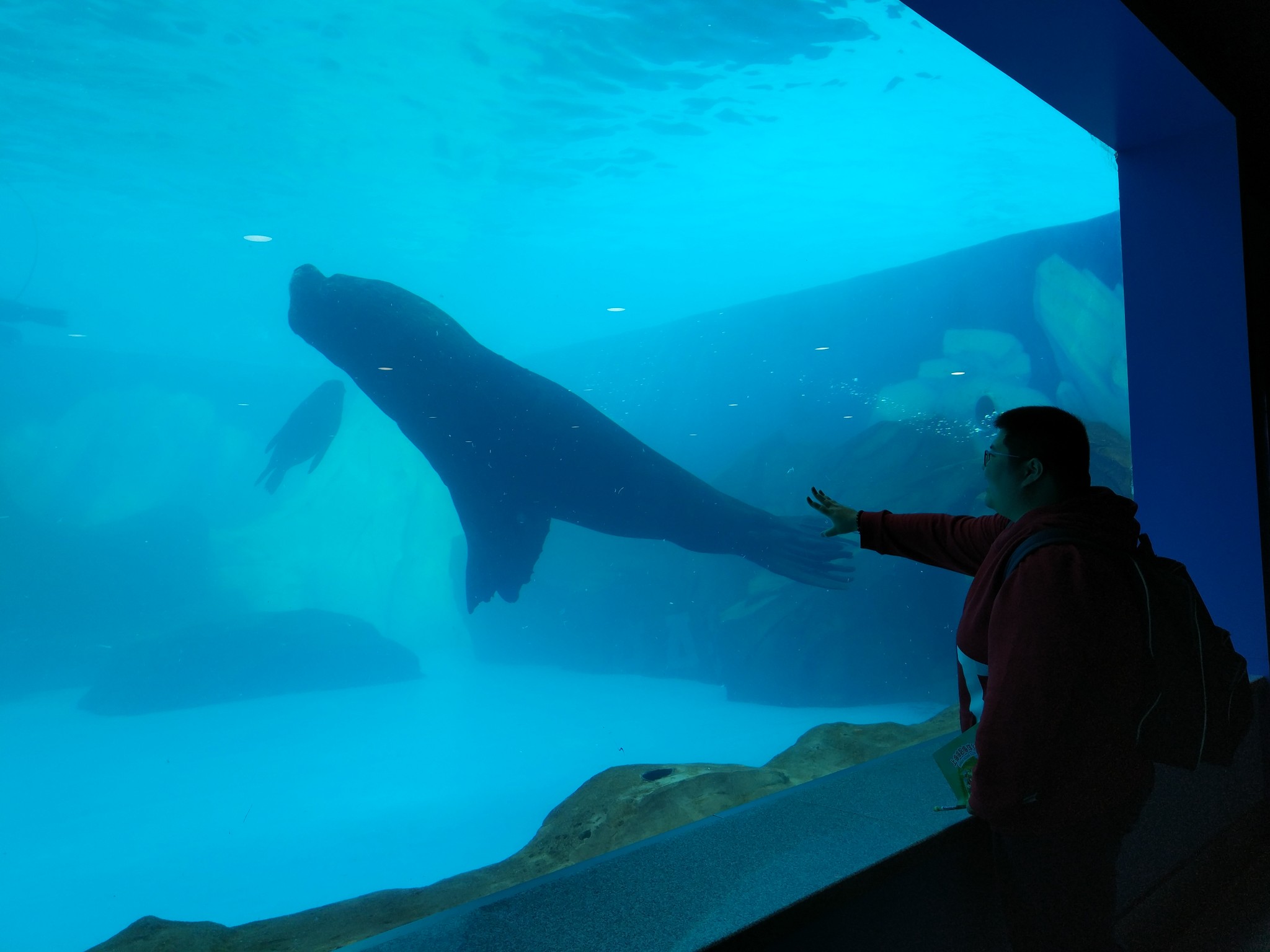 wKgED1wOOViANhgJAAP842Q25zo69.jpeg?imageView2%2F2%2Fw%2F680%2Fq%2F90