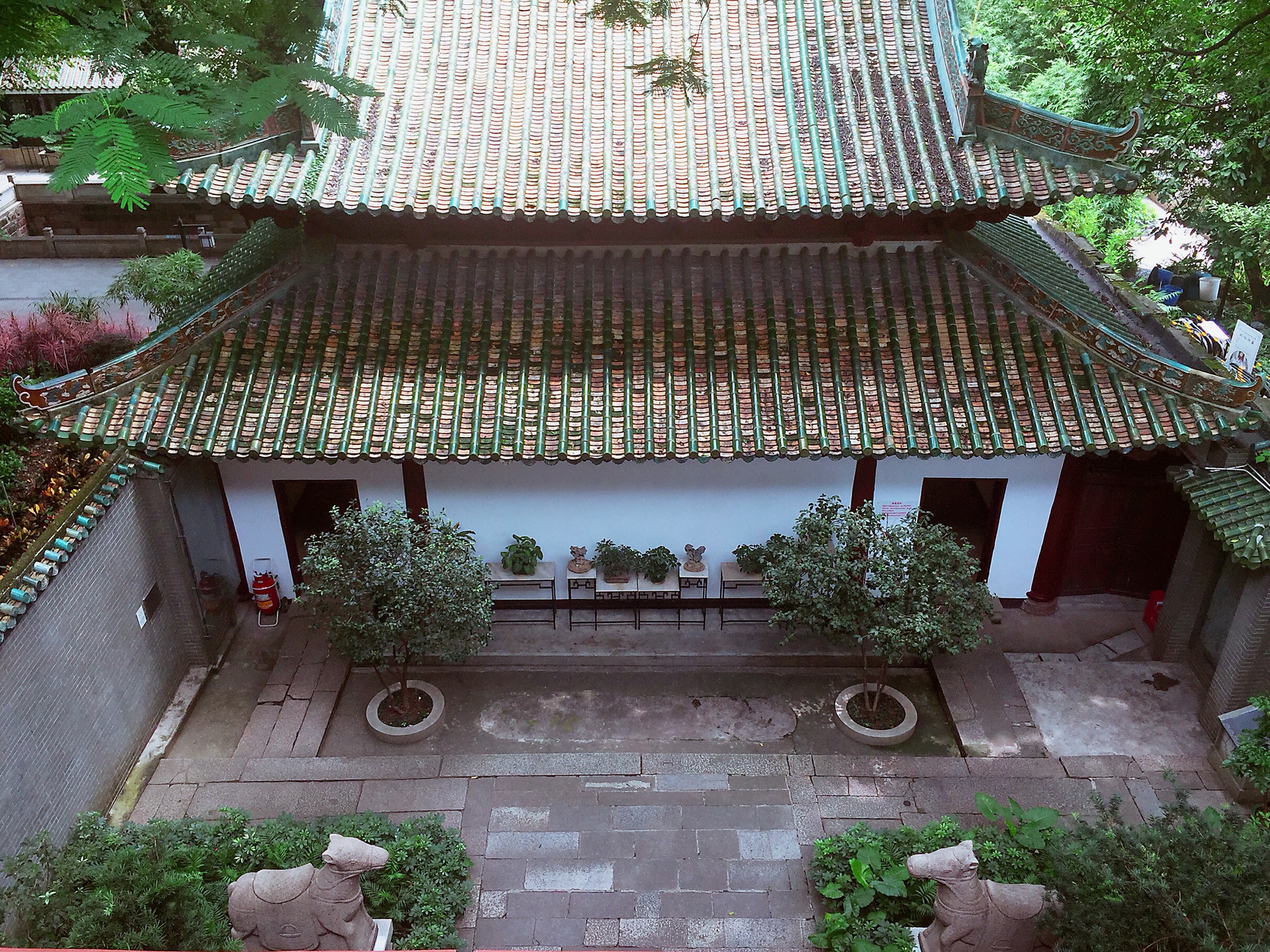 广州经典｜本土姑娘的广州情怀,广州自助游攻略