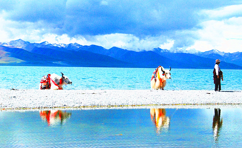 wKgED1w3SLyAPeNTAANc8EhqLH447.jpeg?imageView2%2F2%2Fw%2F680%2Fq%2F90%7CimageMogr2%2Fstrip%2Fquality%2F90