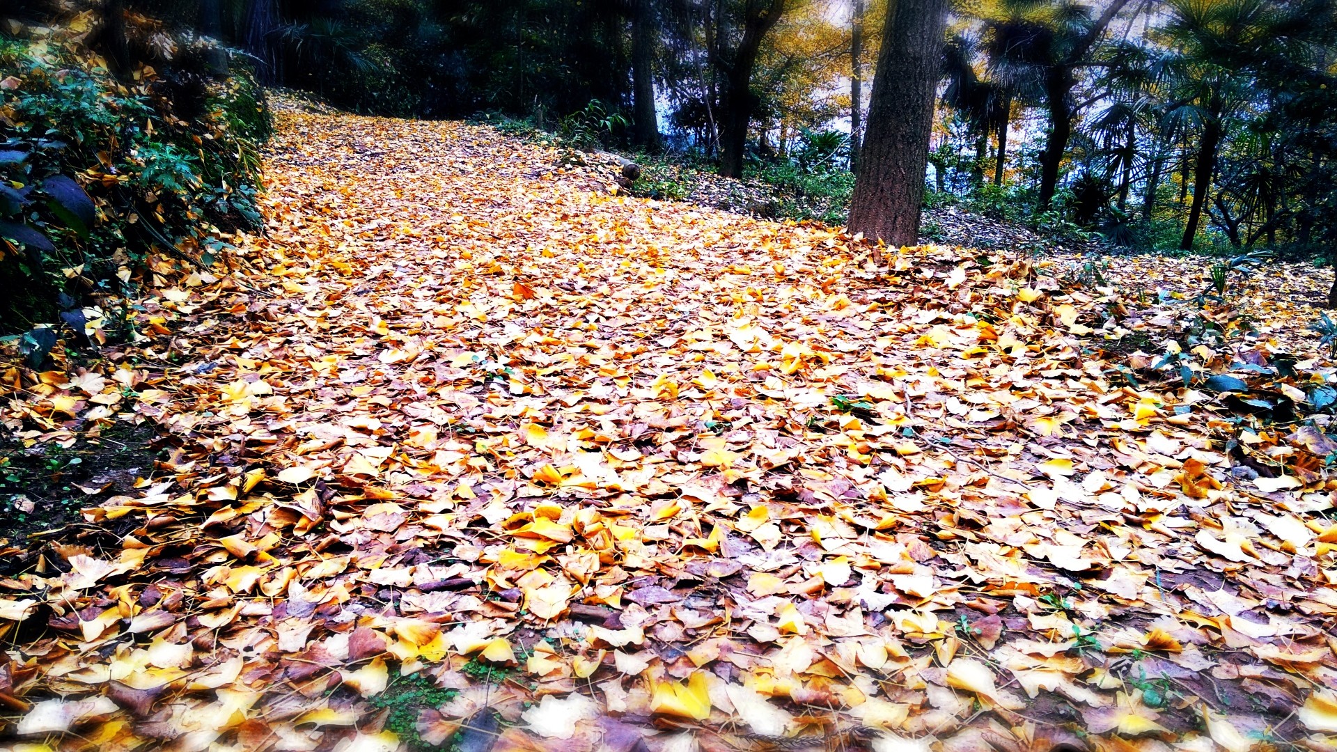 wKgED1vqos2ARuRAABFdcBqP20007.jpeg?imageView2%2F2%2Fw%2F600%2Fh%2F600%2Fq%2F90