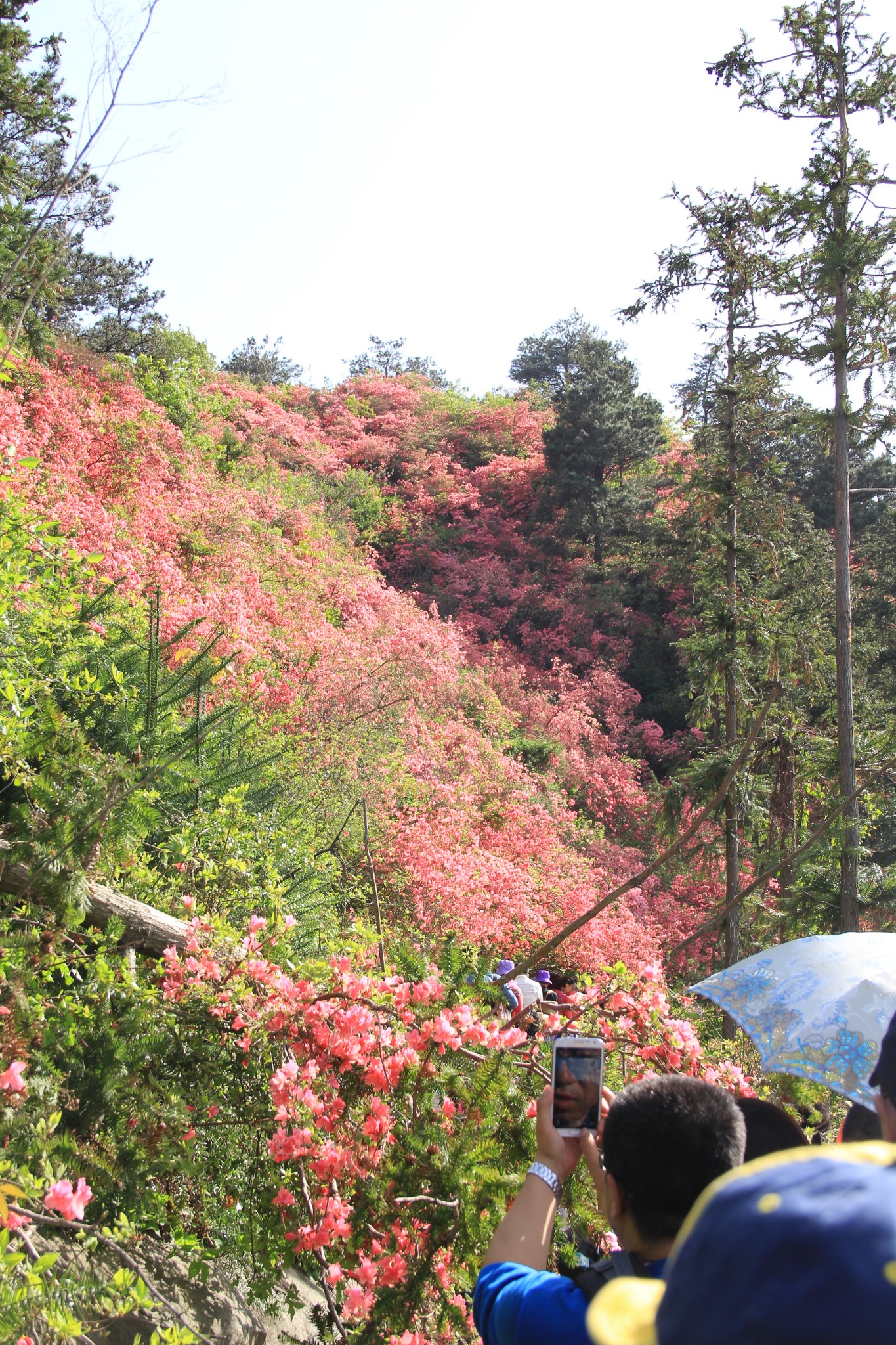 武汉木兰云雾山景区      