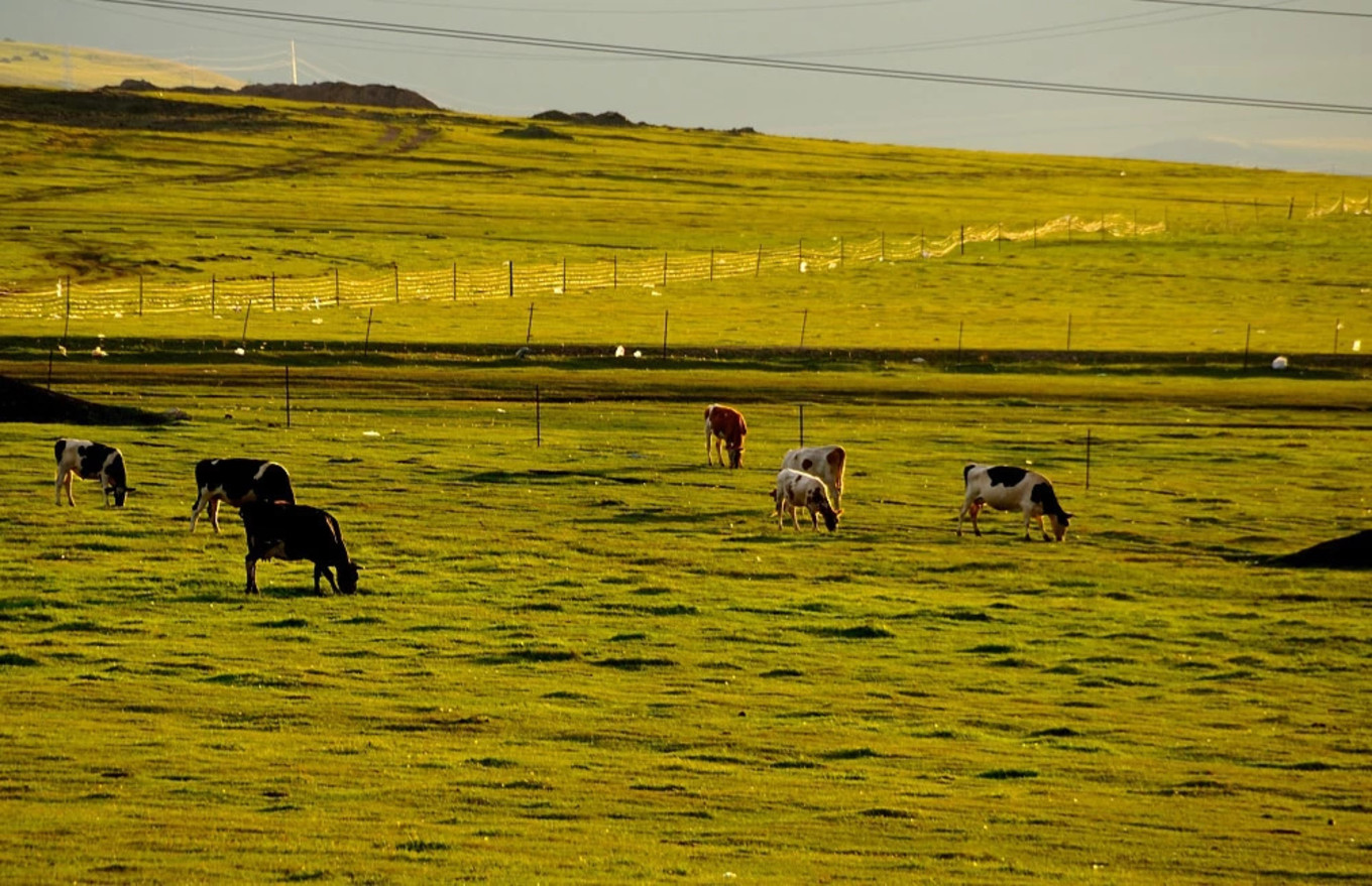 wKgED1wjVS-Adhs_AAY0v9b7mCg81.jpeg?imageView2%2F2%2Fw%2F600%2Fh%2F600%2Fq%2F90