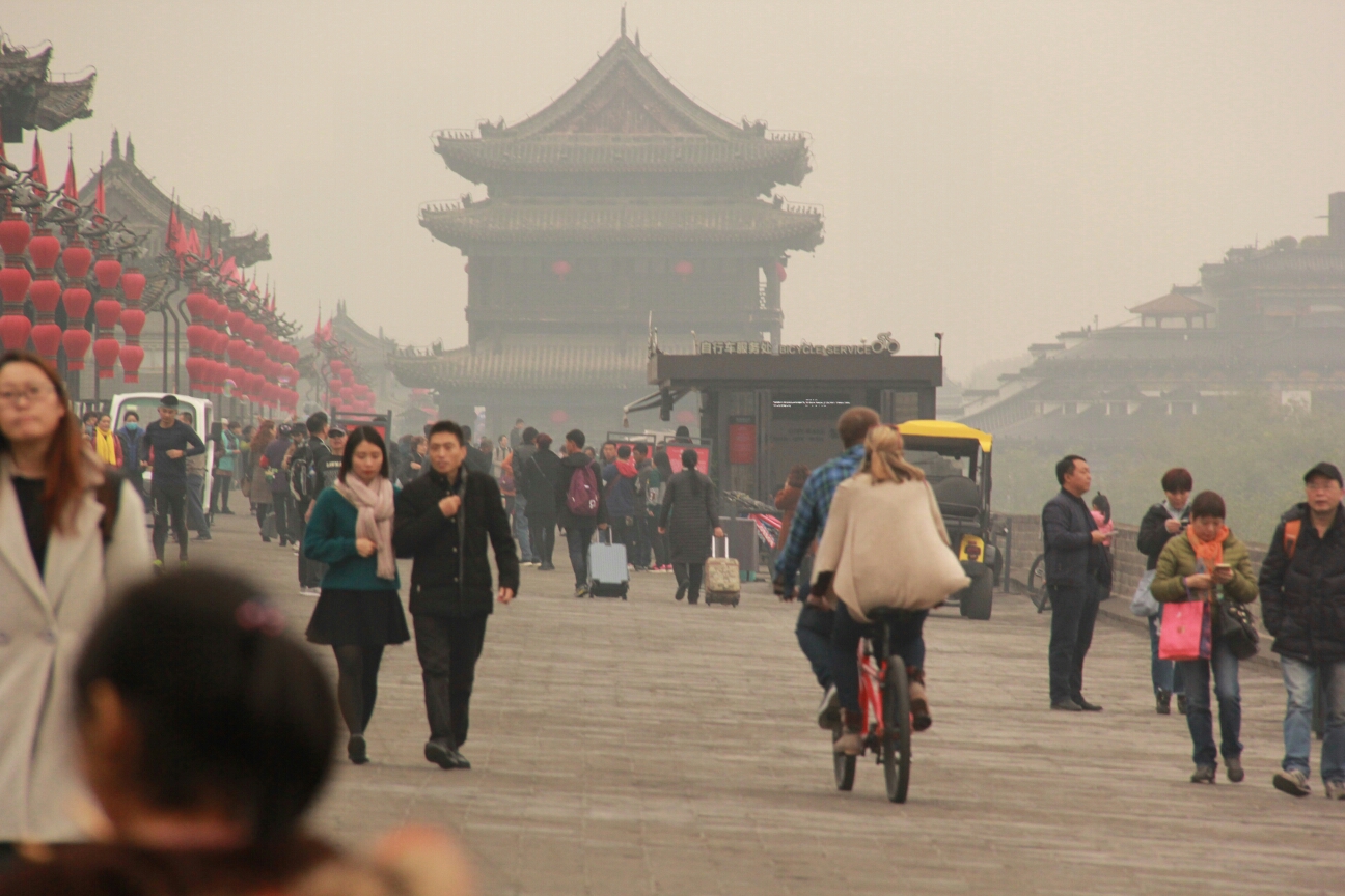 成语什么一隅_自缚一隅什么意思(2)