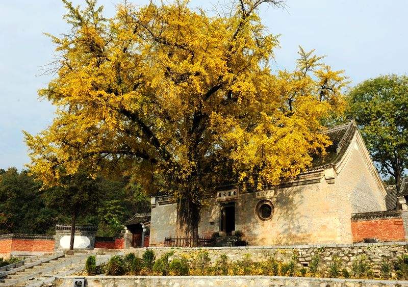 南阳最古香古色的地方之香严寺 坐禅谷一日游~放松心境用心倾听之旅