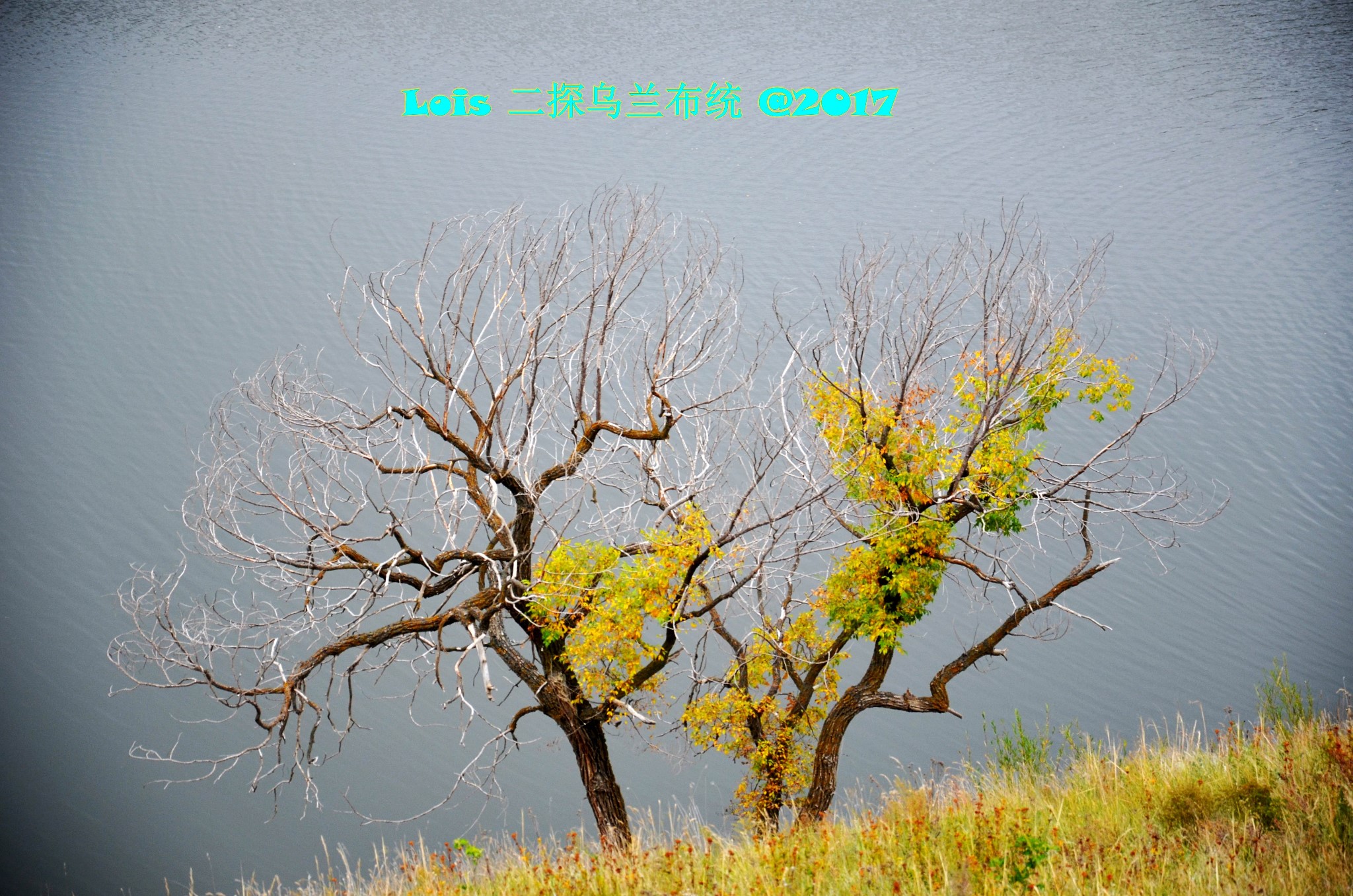 wKgED1wSK2CAAHqRAAxYxHs3DRo94.jpeg?imageView2%2F2%2Fw%2F600%2Fh%2F600%2Fq%2F90