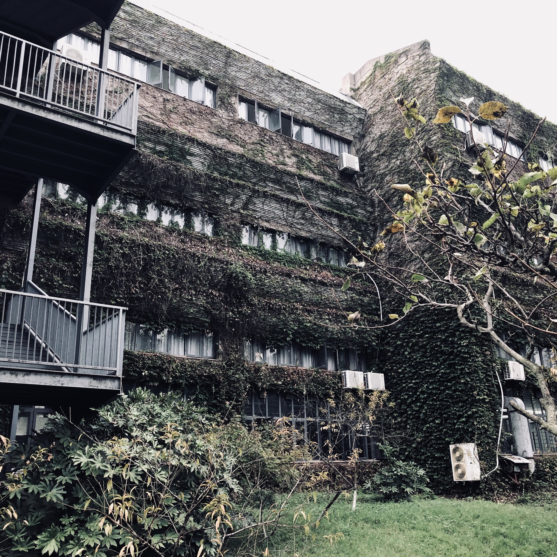 四川美术学院虎溪校区      