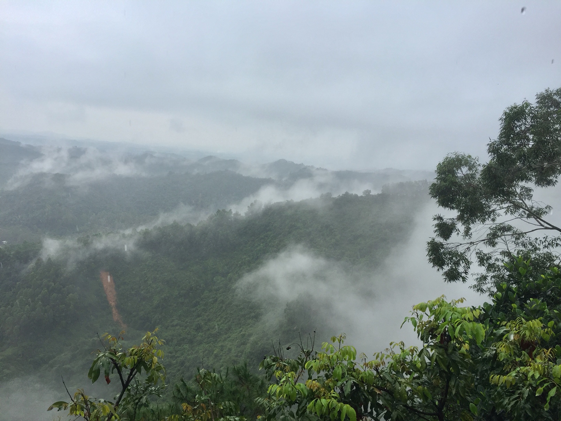 江门鹤山古劳镇茶山半日游