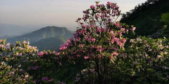 从上海出发到台州天台山,到底是乘高铁到台州